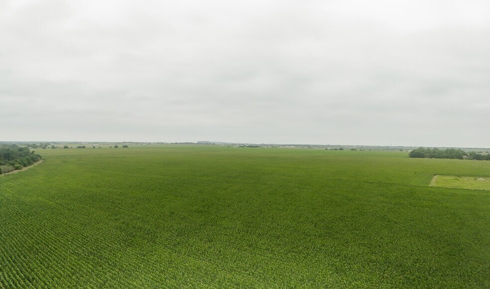 More Photos Of TBD County Road 405, Taylor Land For Sale
