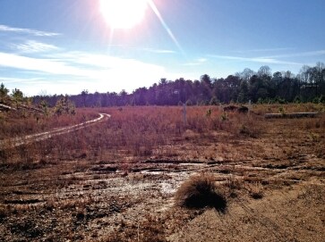 More Photos Of 435 Upper Salem Rd, Jasper Land For Sale