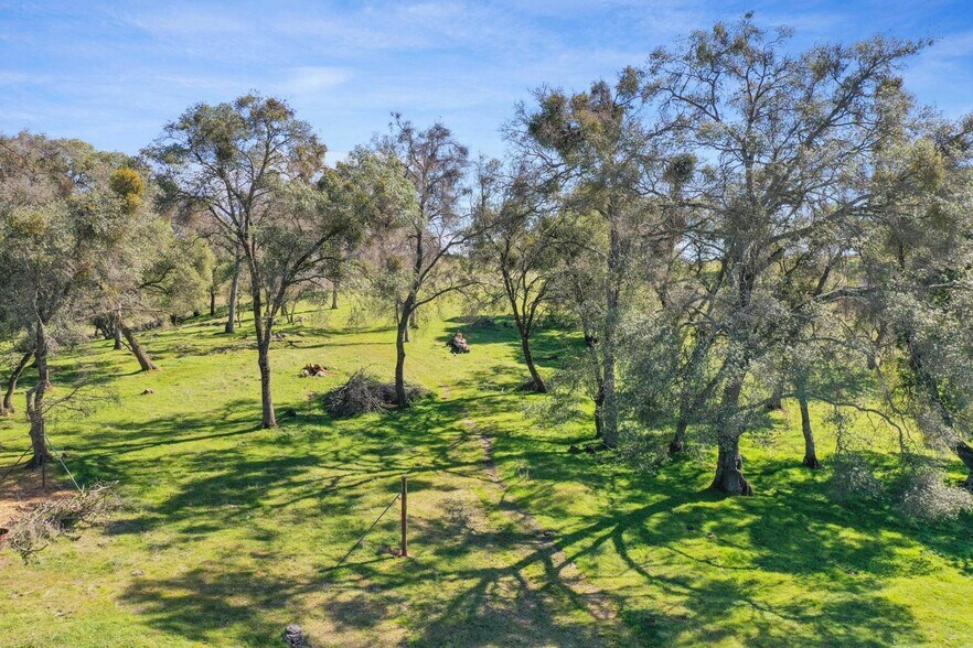 More Photos Of 1229 Murray Creek, San Andreas Land For Sale