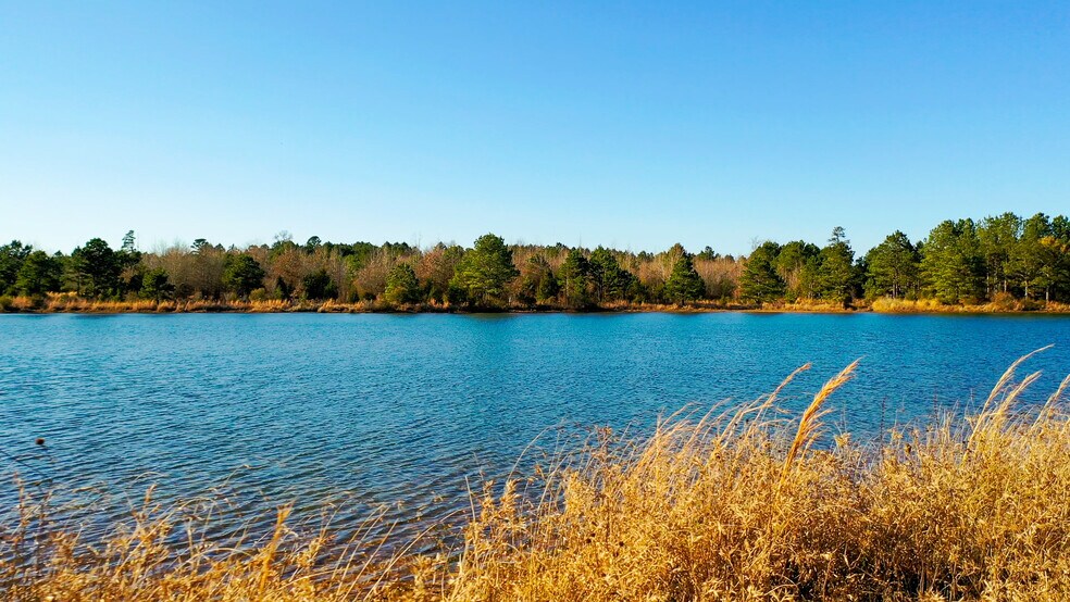 More Photos Of HWY 49 hwy, Jefferson Land For Sale