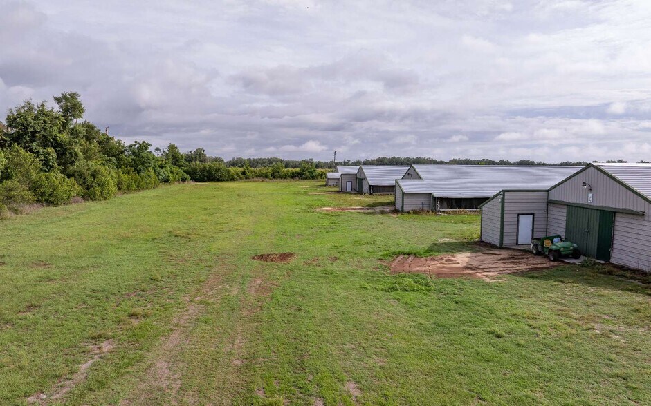 More Photos Of 1083 SW County Road 351, Mayo Land For Sale