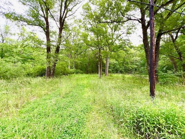 More Photos Of 7584 NY-97, Narrowsburg Land For Sale