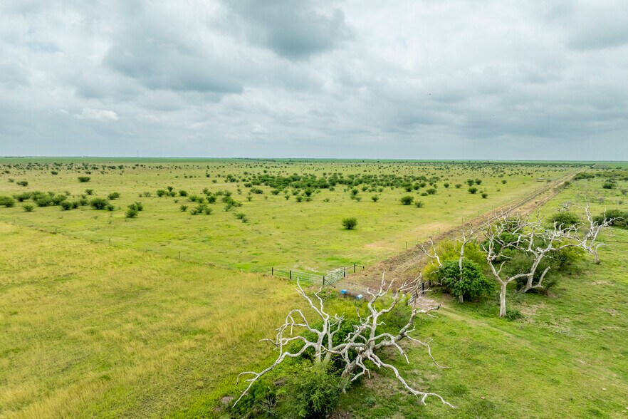 More Photos Of 1038 FM 1360, Woodsboro Land For Sale