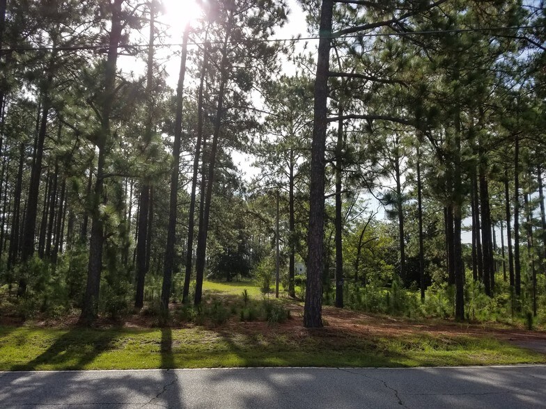 More Photos Of 757 Dixiana Rd, West Columbia Land For Sale