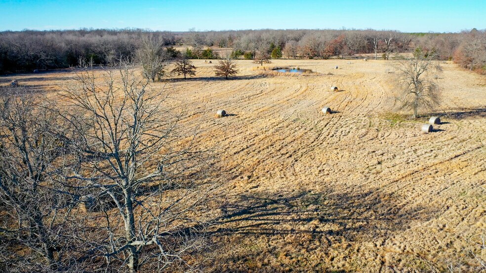 More Photos Of 1200 County 1255 rd, Detroit Land For Sale