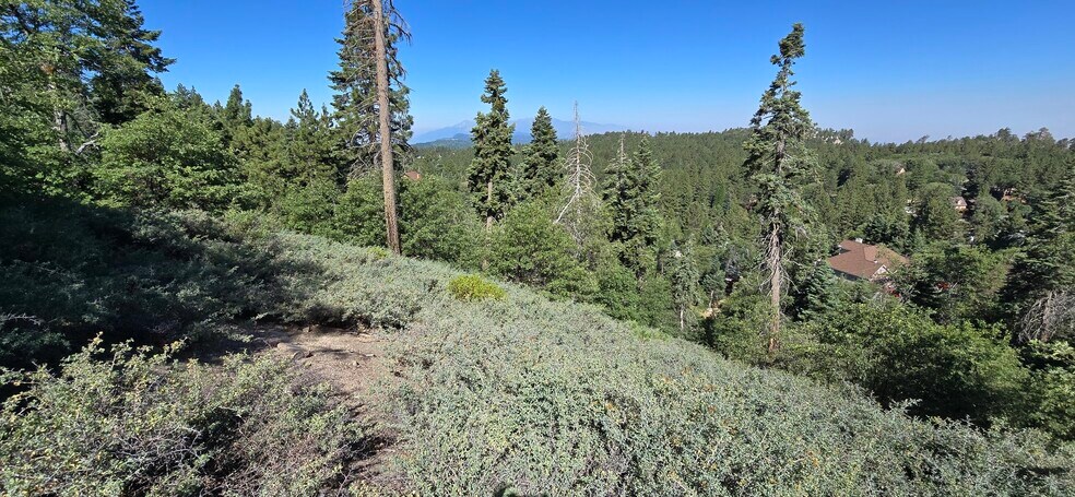 More Photos Of 0 San Antonio, Green Valley Lake Land For Sale