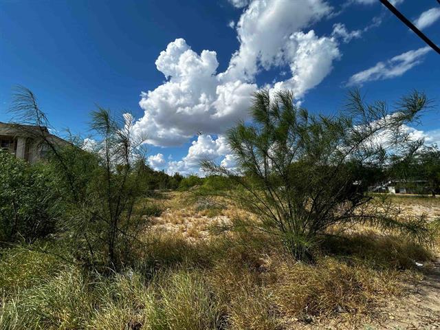 More Photos Of Canada & O'Kane, Laredo Land For Sale
