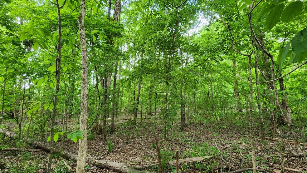 More Photos Of Near 5370 Deerfoot Parkway Pky, Trussville Land For Sale
