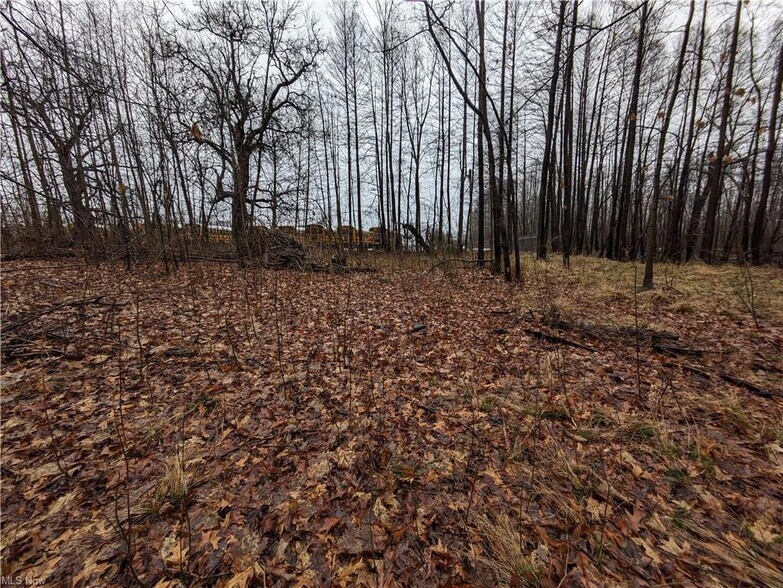 More Photos Of 26 Grand Valley ave, Orwell Land For Sale