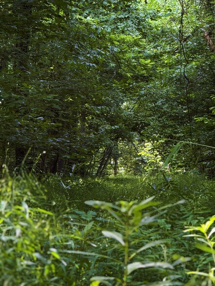 More Photos Of 00 Kennedy Rd, Winnsboro Land For Sale