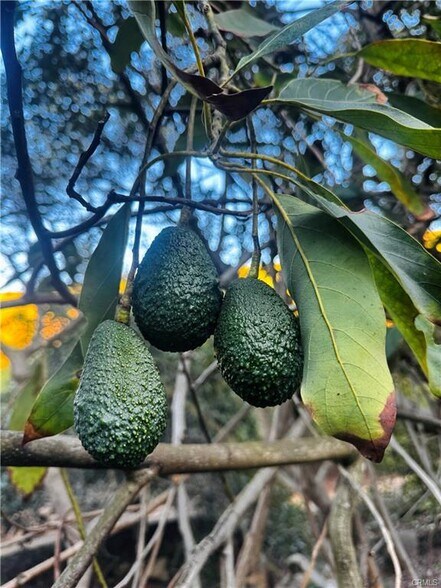 More Photos Of 0 Gopher Canyon Rd, Vista Land For Sale