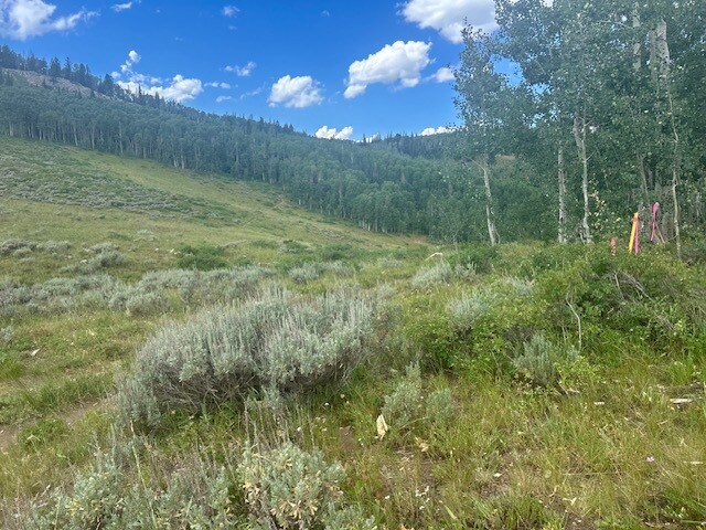 More Photos Of Parcels Logan lot 724 - U.P. No.2 lot 724 @ Red Cloud Rd., Park City Land For Sale