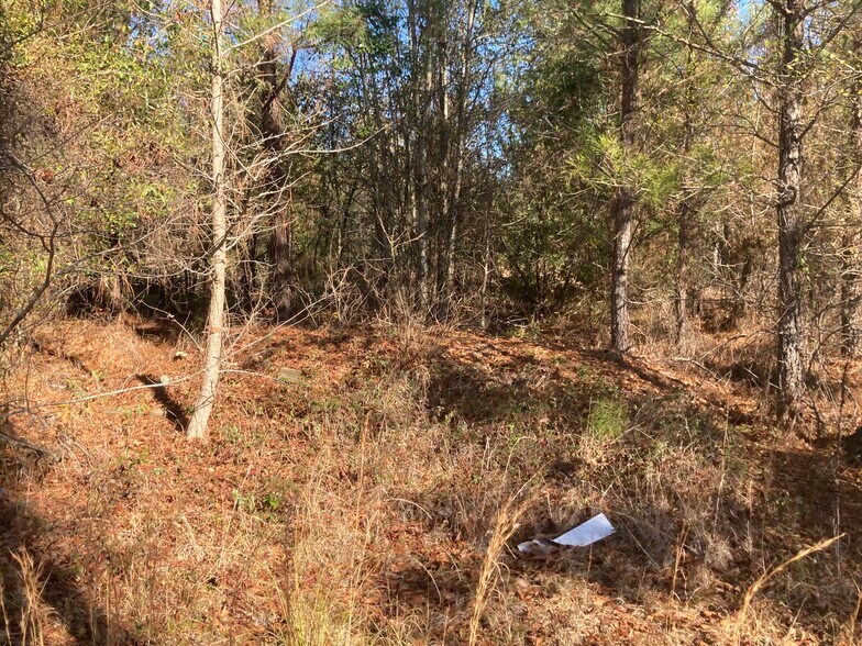 More Photos Of 913 Alligator Rd, Effingham Land For Lease