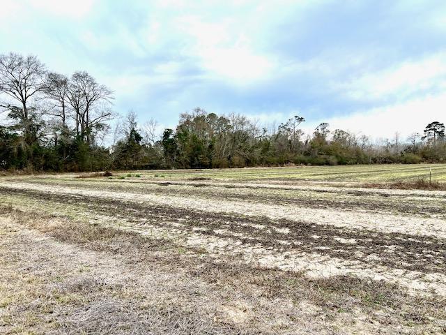 More Photos Of 8291 GA Highway 67, Brooklet Land For Sale