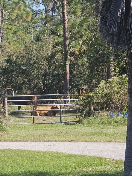 More Photos Of 34745 Trails End Dr, Punta Gorda Winery Vineyard For Sale