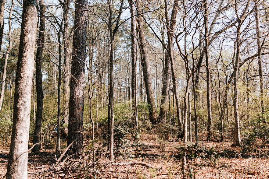 More Photos Of 1283 Cedar Shoals dr, Athens Land For Sale