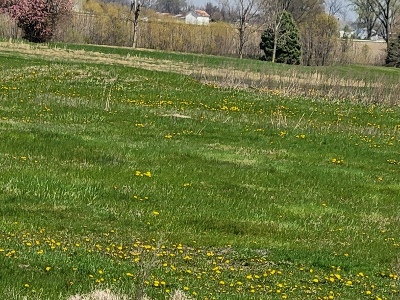 More Photos Of 2625 N Hurricane Rd, Franklin Land For Sale