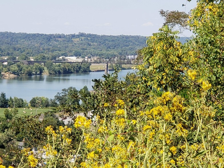 1177 Redmond Ridge Rd, Gallipolis Ferry, WV 25515 Land For Sale