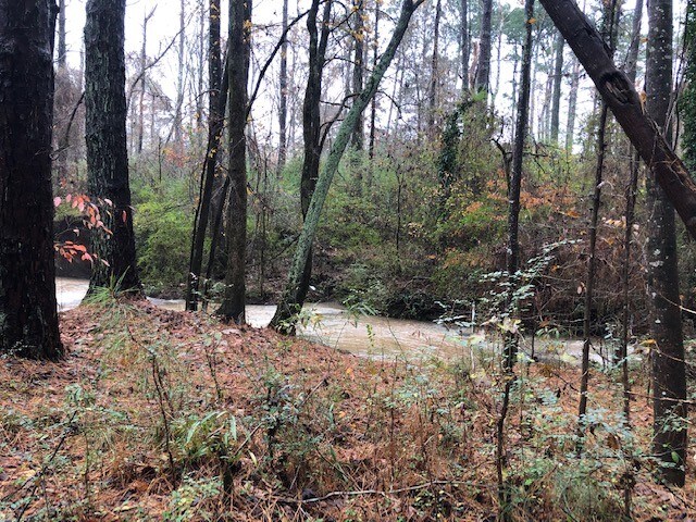 More Photos Of 241 Paper Mill Rd, Lawrenceville Land For Sale