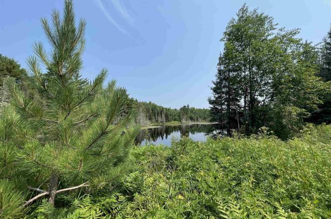 More Photos Of 26497 US-41, Covington Flex For Sale