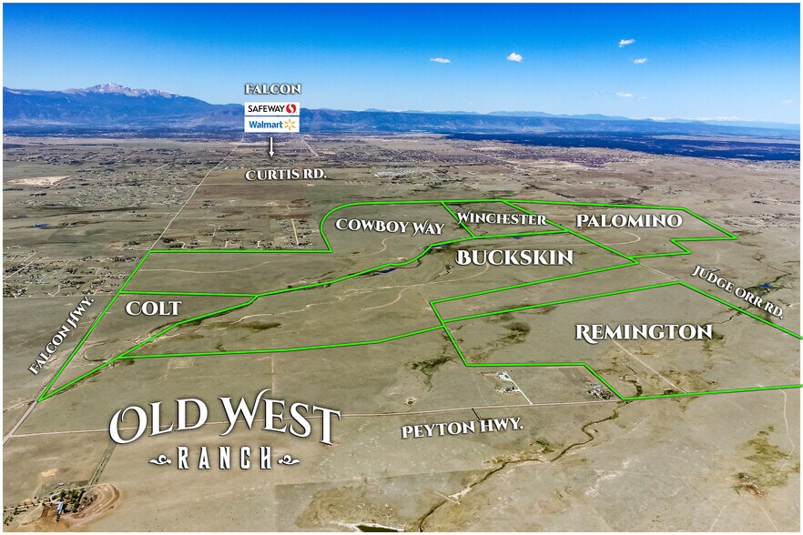 17460 Falcon Hwy, Peyton, CO 80831 Land For Sale