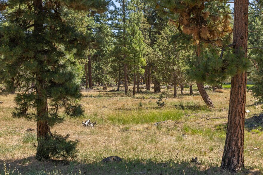 More Photos Of 0 Blue Wing Street, Keno Land For Sale