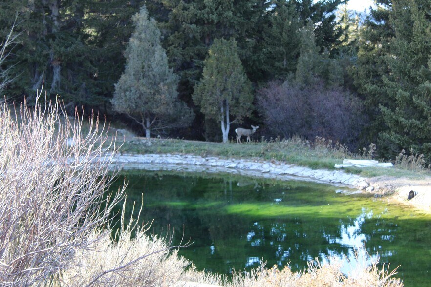 More Photos Of 65 Bald Mountain Rd, Dubois Specialty For Sale