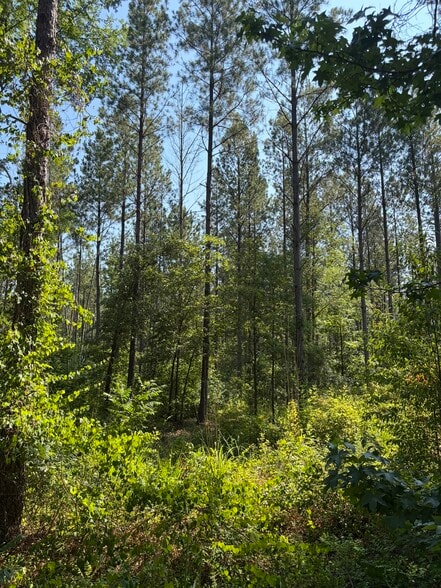 Primary Photo Of 00 Everett Chappell Rd, Mount Gilead Land For Sale