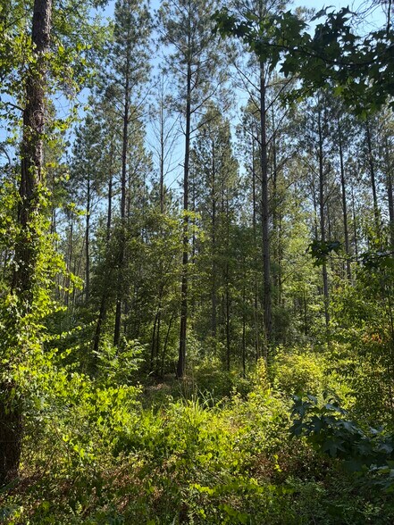 More Photos Of 00 Everett Chappell Rd, Mount Gilead Land For Sale