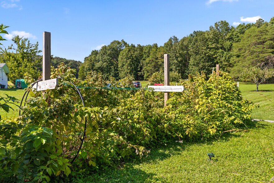 More Photos Of 3872 Brayton Mountain Rd, Graysville Skilled Nursing Facility For Sale
