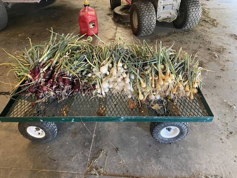 More Photos Of 157 Hergenrider Rd, Bridger Land For Sale