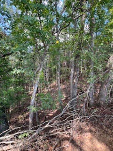 More Photos Of 21805 U.S. HWY 69S hwy, Bullard Land For Sale