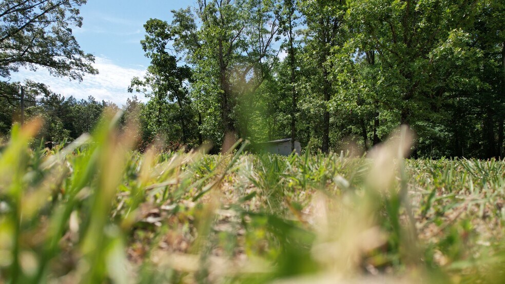 More Photos Of 3176 Summertown Hwy, Summertown Land For Sale