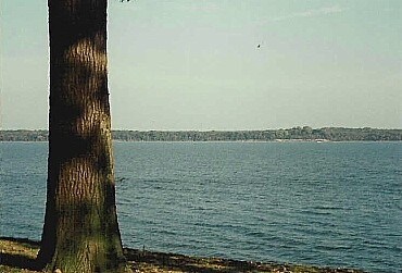 More Photos Of Chopawamsic Island, Quantico Land For Sale