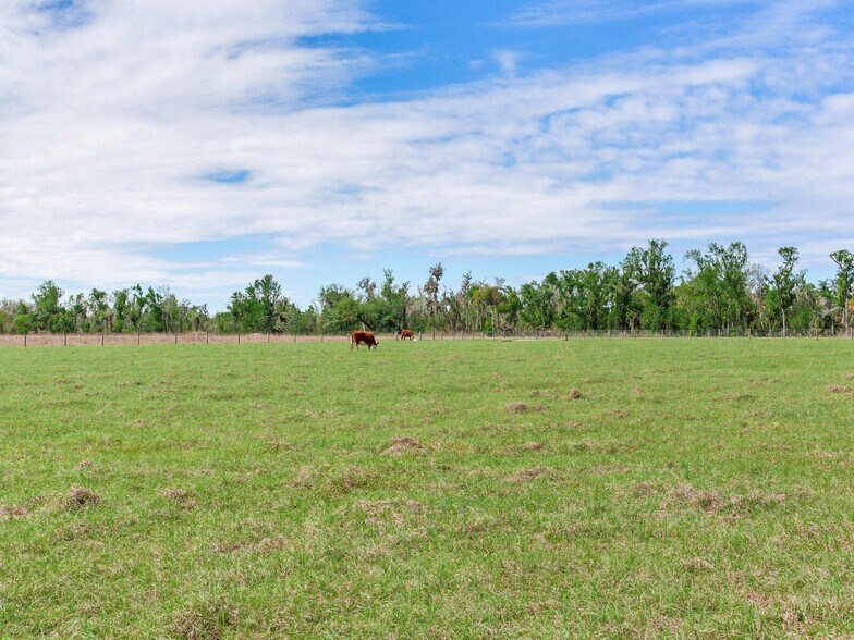 More Photos Of 15721 Colding Loop, Wimauma Land For Sale