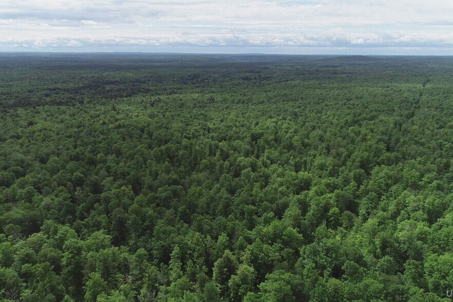 More Photos Of Laird Road Rd, Pelkie Land For Sale