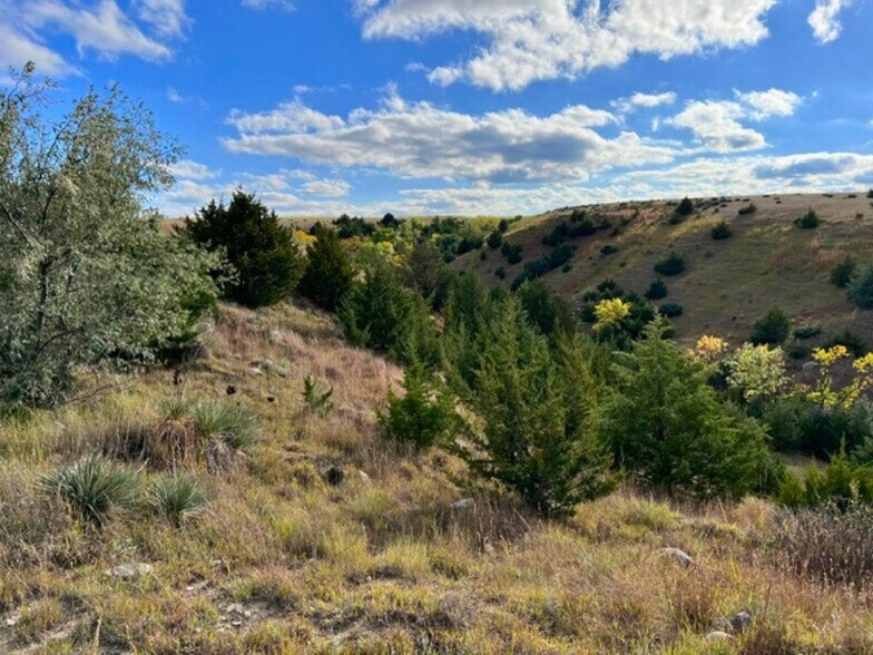 Primary Photo Of TBD Highway 1804, Pierre Land For Sale