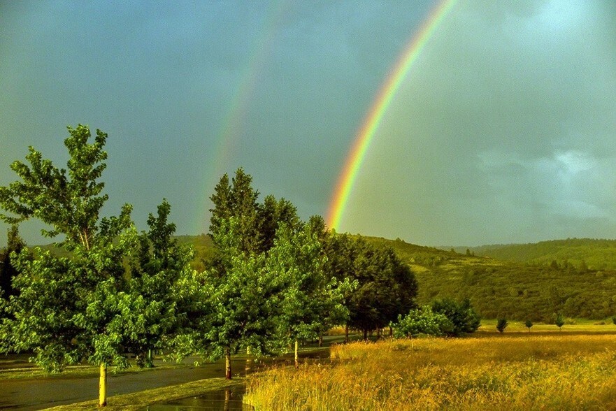 More Photos Of 9130 Village Way, Victor Land For Sale