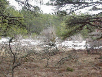 Primary Photo Of 349 Old King's Hwy, Wellfleet Land For Sale