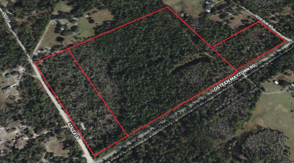 Primary Photo Of 800 Maytown rd, Osteen Land For Sale
