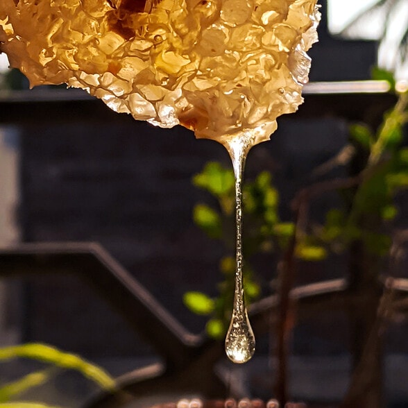 More Photos Of 2333 Waukegan Rd, Bannockburn Unknown For Lease