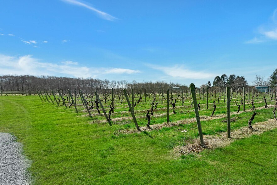 More Photos Of 18910 Middle Rd, Cutchogue Land For Sale