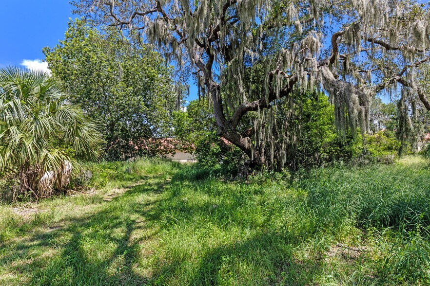 More Photos Of 8th Street, Montverde Land For Sale