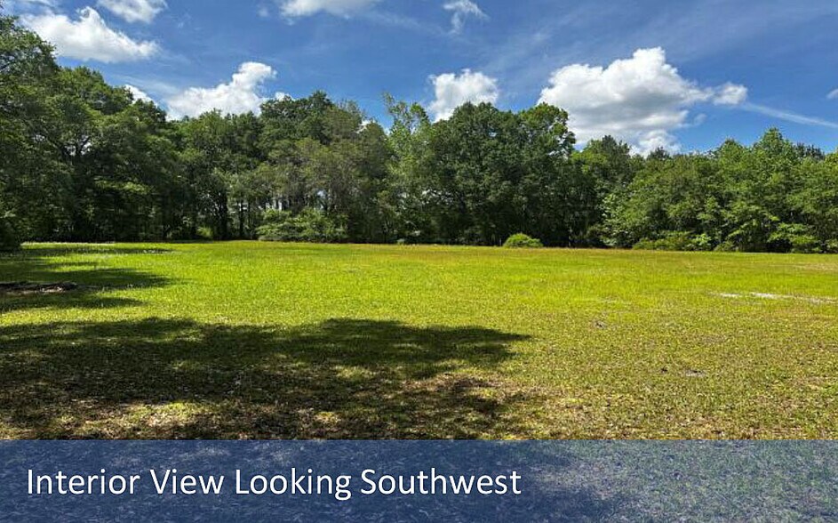 More Photos Of 2169 Pine Tree Ln, Middleburg Land For Sale