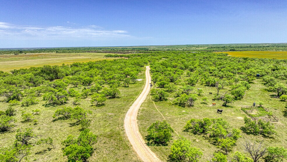 More Photos Of 723 FM 2926, Baird Land For Sale
