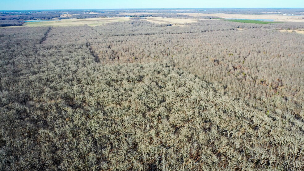 More Photos Of 1200 County 1255 rd, Detroit Land For Sale