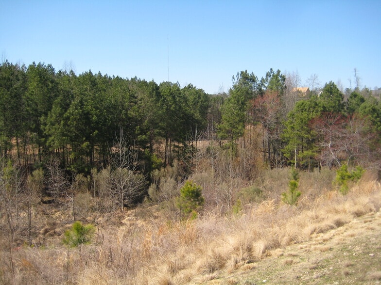 More Photos Of US 1 & NC HWY 96, Youngsville Land For Sale