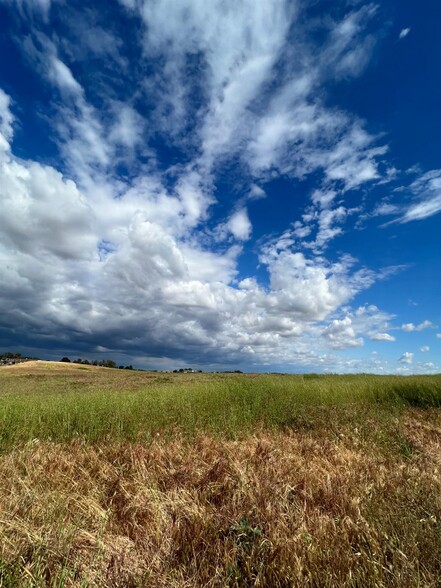 Primary Photo Of 00 ROAD 29 1/2, Madera Land For Sale