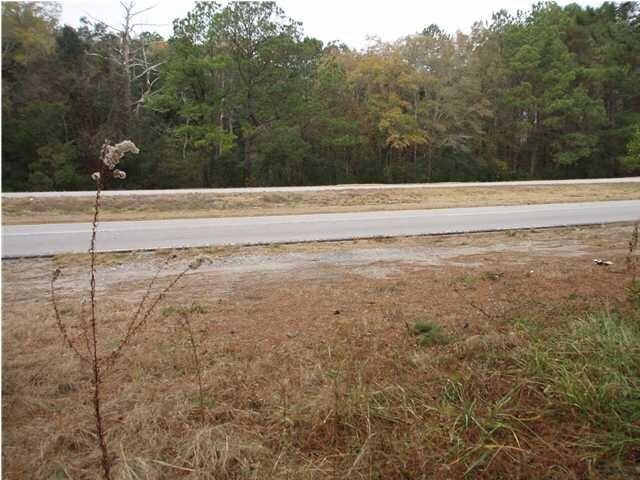 Primary Photo Of 4953 N 17 Hwy, Awendaw Land For Sale