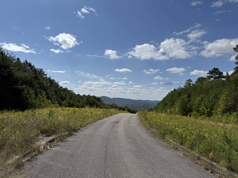 More Photos Of 6522 Old Springville Rd, Pinson Land For Sale